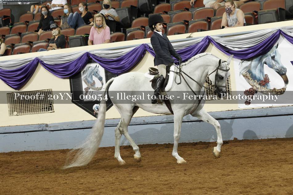 Proof 20YN_00954