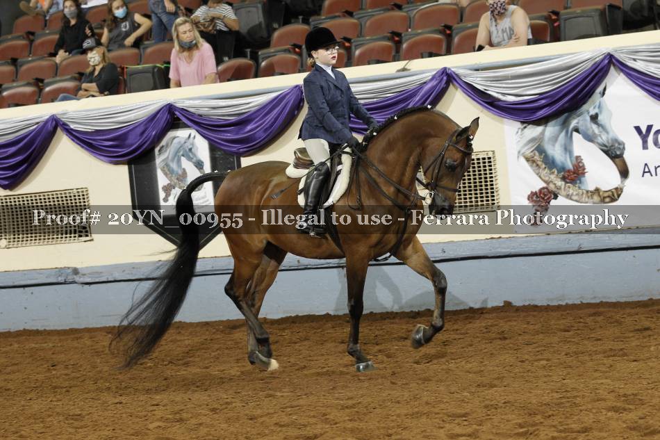 Proof 20YN_00955