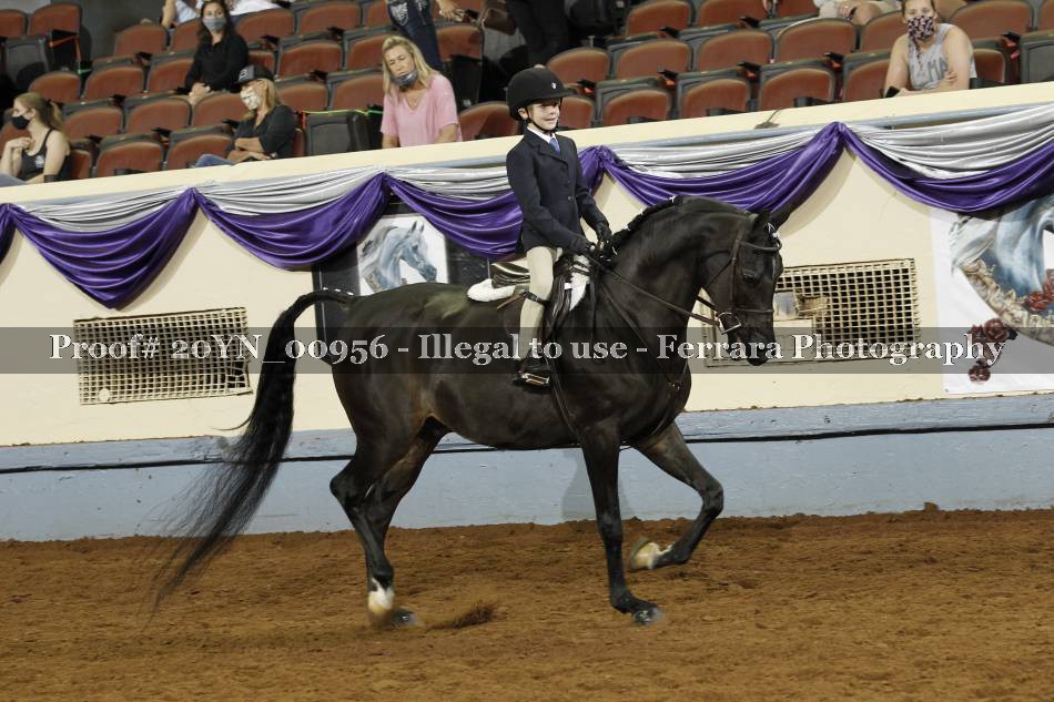 Proof 20YN_00956