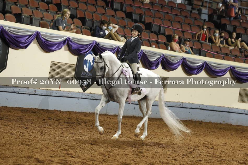 Proof 20YN_00958