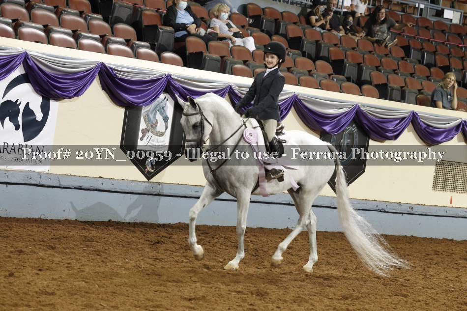 Proof 20YN_00959