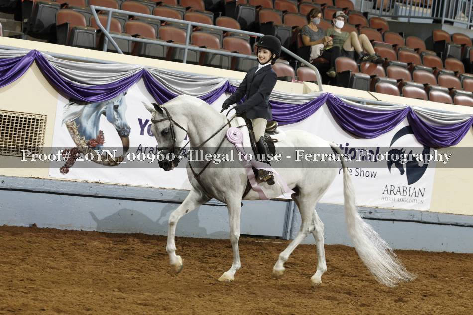 Proof 20YN_00960