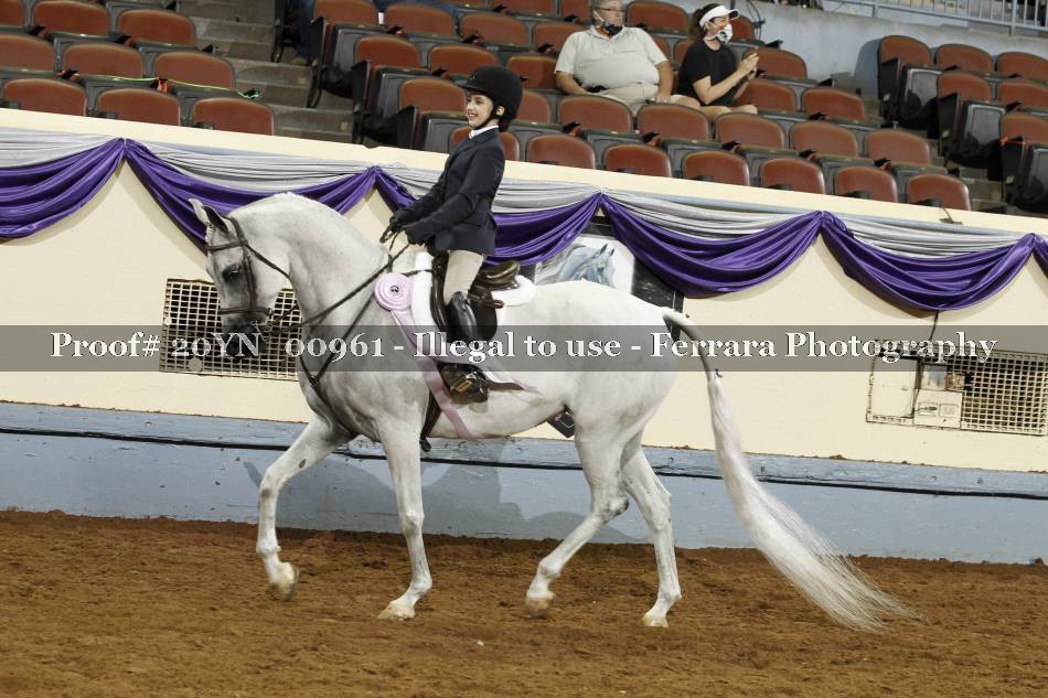 Proof 20YN_00961