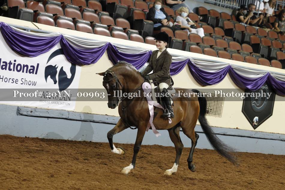Proof 20YN_00963