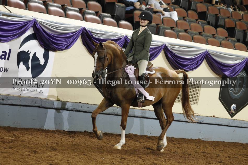 Proof 20YN_00965