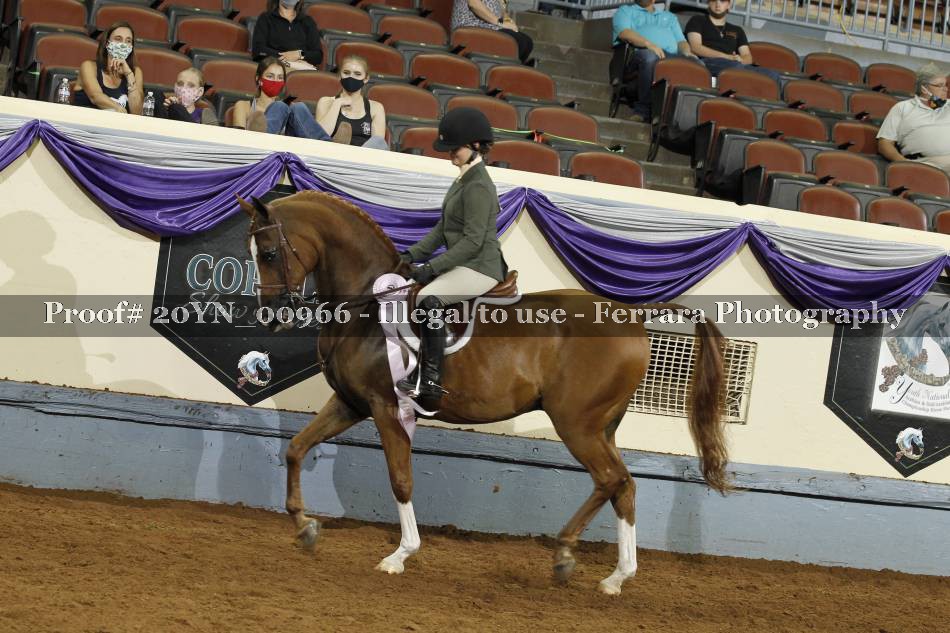 Proof 20YN_00966