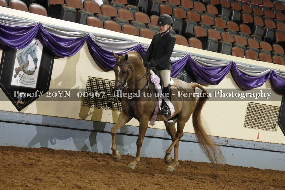 Proof 20YN_00967