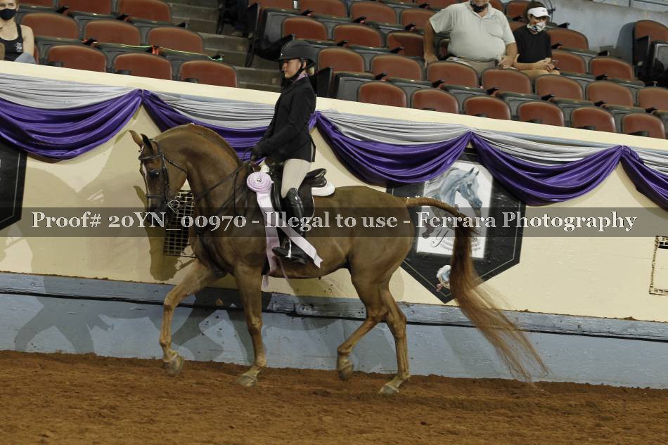 Proof 20YN_00970
