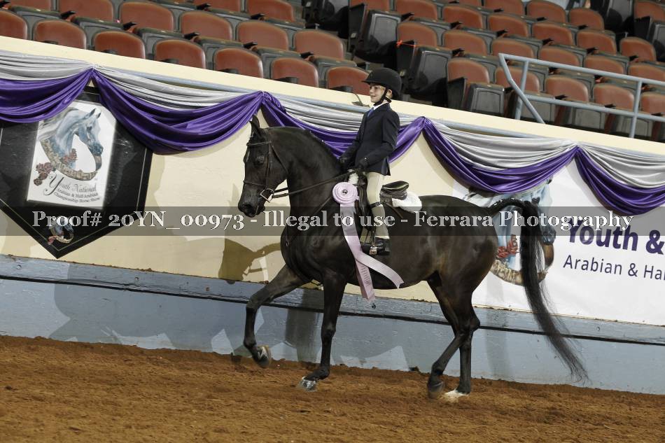 Proof 20YN_00973
