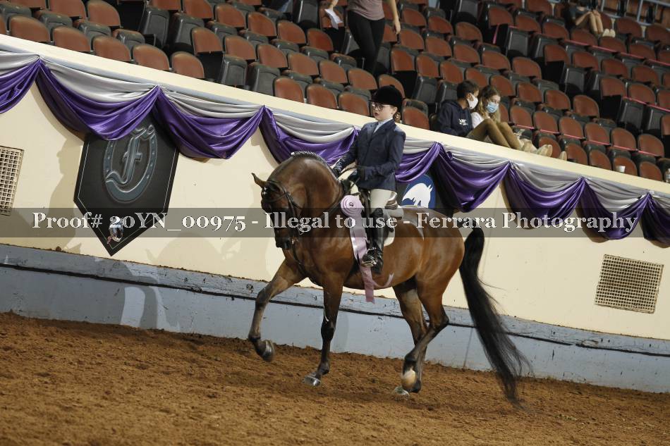 Proof 20YN_00975