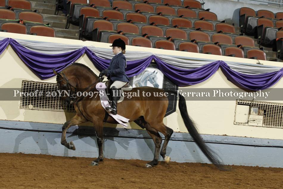 Proof 20YN_00978