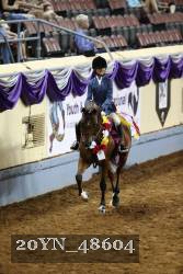 20YN_48604 proof