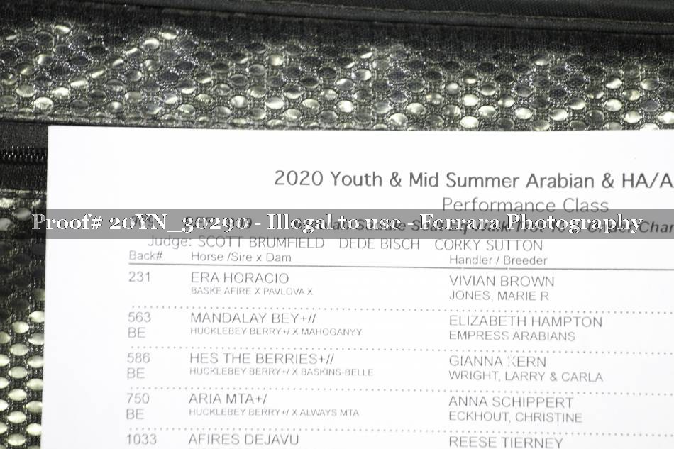 Proof 20YN_30290
