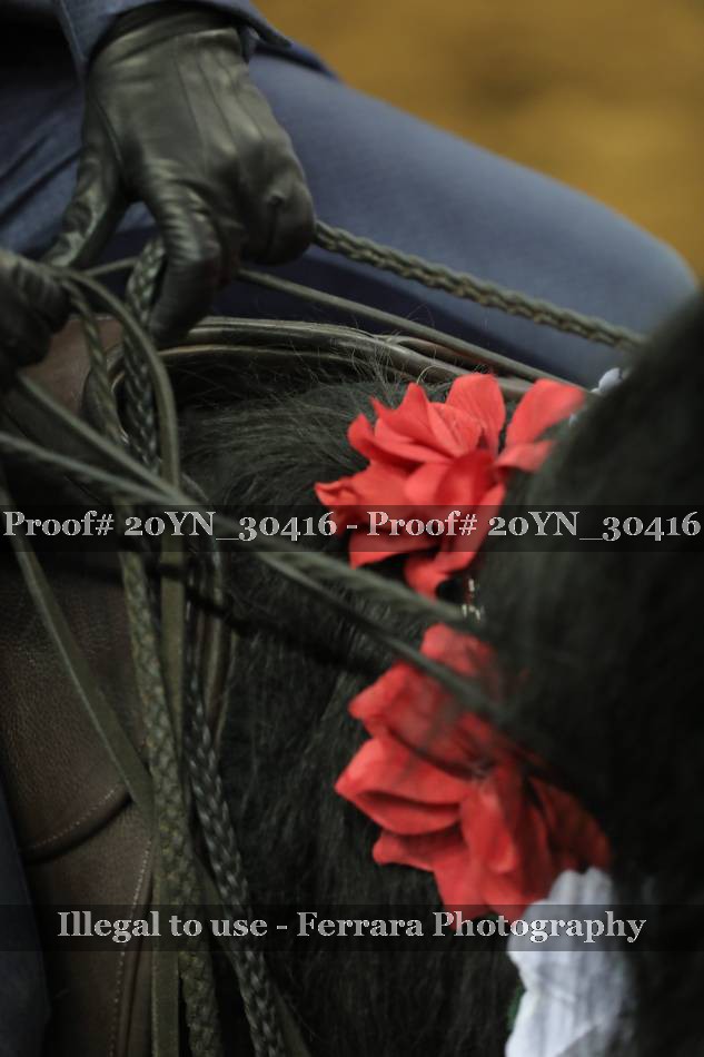 Proof 20YN_30416