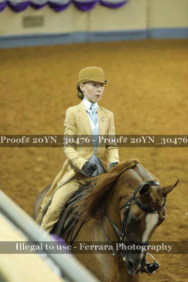 Proof 20YN_30476