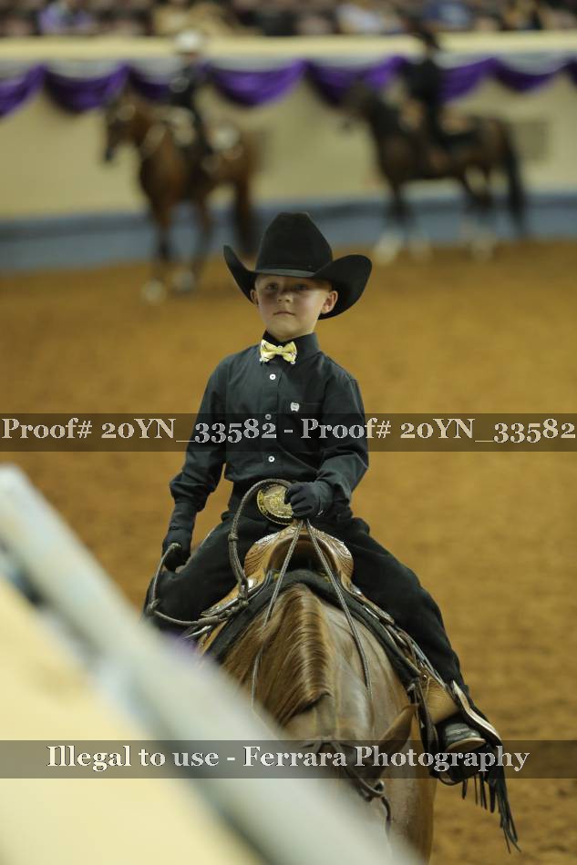Proof 20YN_33582