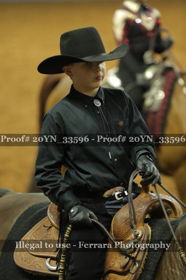 Proof 20YN_33596