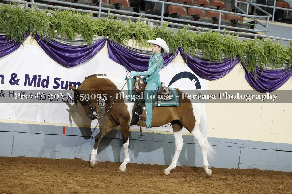 Proof 20YN_53095