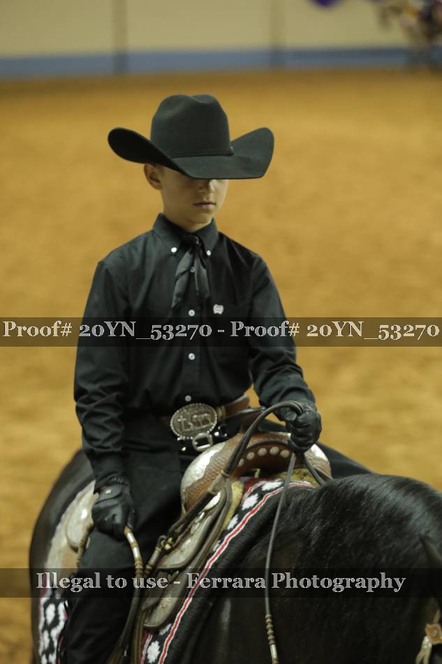 Proof 20YN_53270