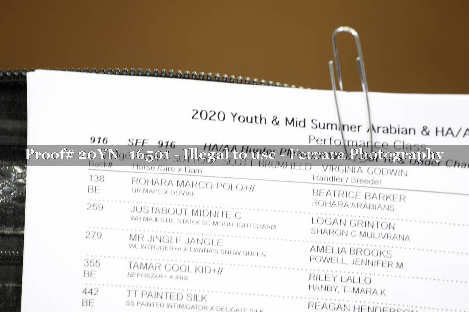 Proof 20YN_16501