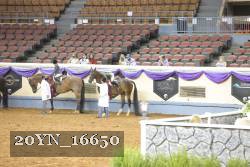 20YN_16650 proof