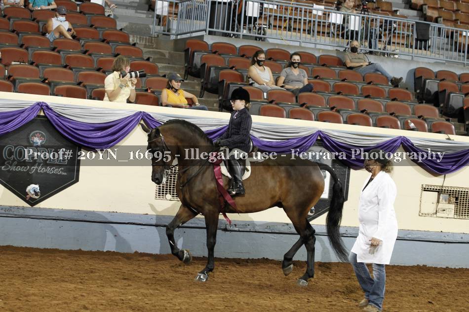 Proof 20YN_16695