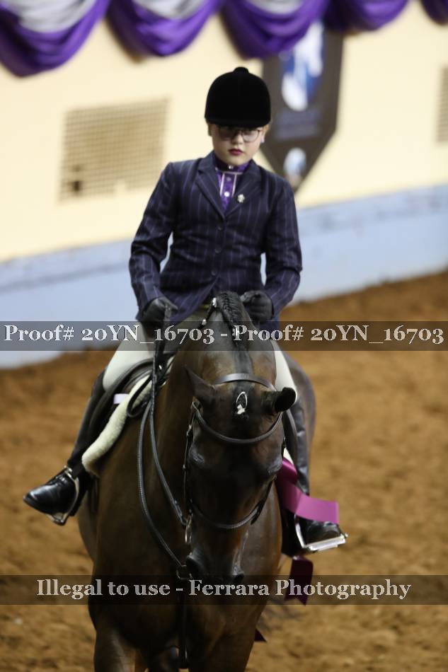 Proof 20YN_16703