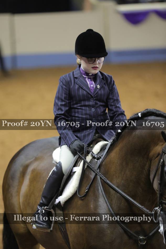 Proof 20YN_16705