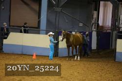 20YN_25224 proof