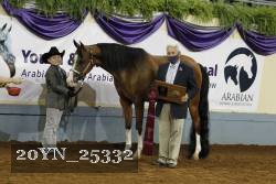 20YN_25332 proof