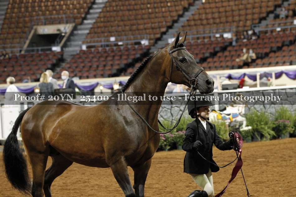 Proof 20YN_25400