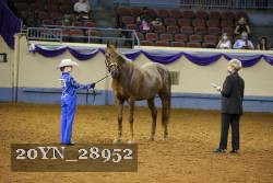 20YN_28952 proof