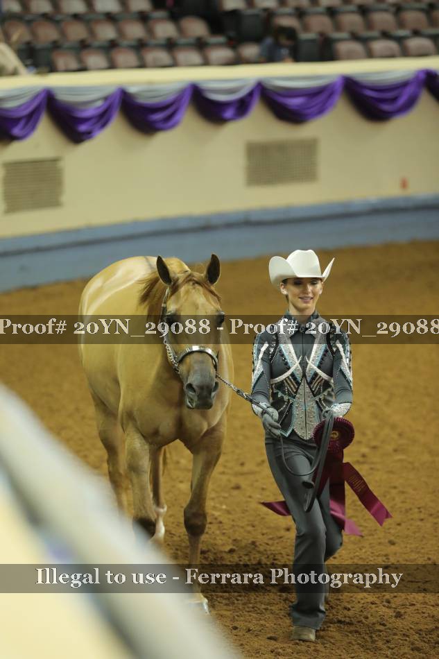 Proof 20YN_29088