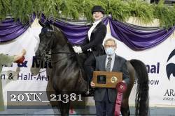 20YN_21381 proof