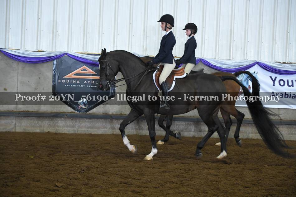 Proof 20YN_56190