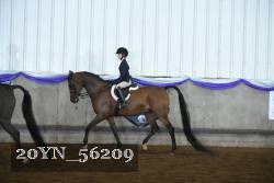 20YN_56209 proof