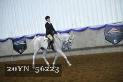 20YN_56223 proof