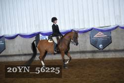 20YN_56225 proof