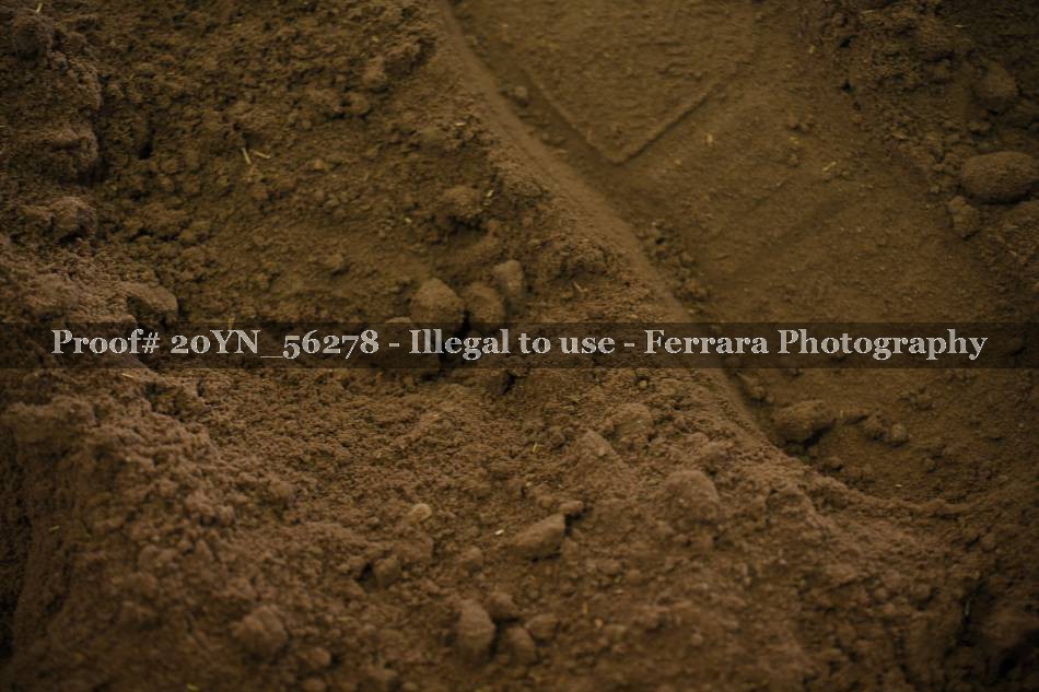 Proof 20YN_56278