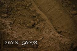20YN_56278 proof
