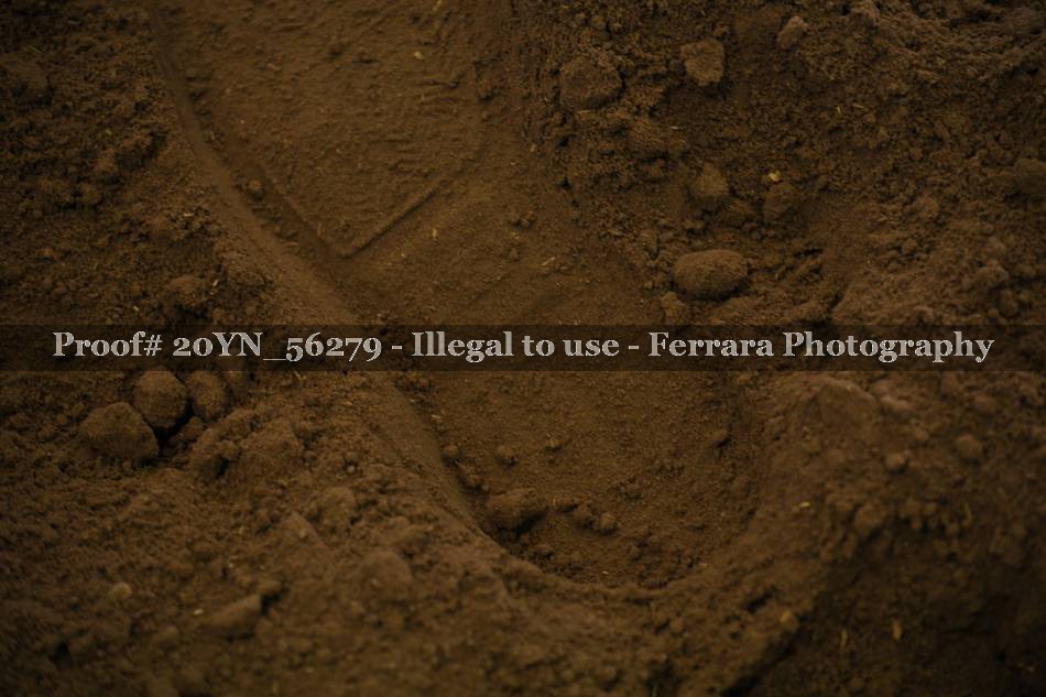 Proof 20YN_56279