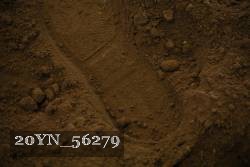 20YN_56279 proof
