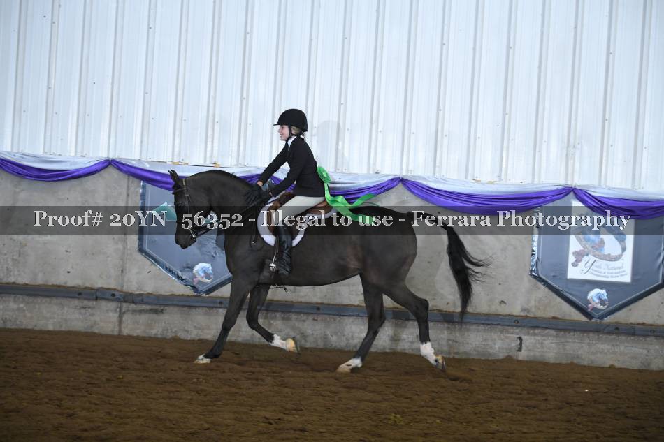 Proof 20YN_56352