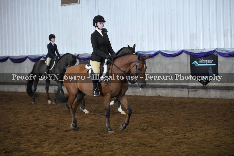 Proof 20YN_69170