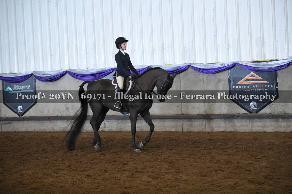 Proof 20YN_69171