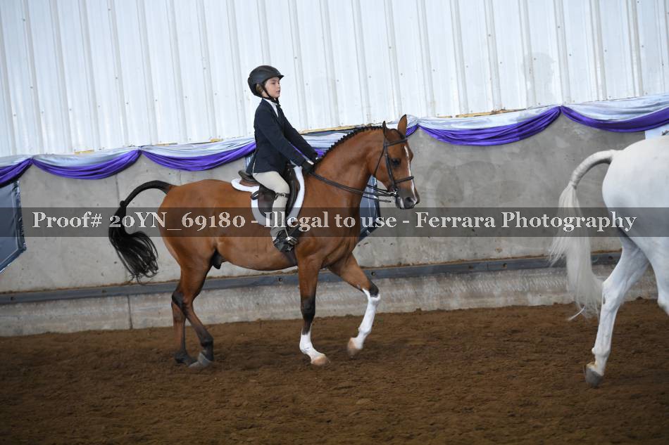 Proof 20YN_69180