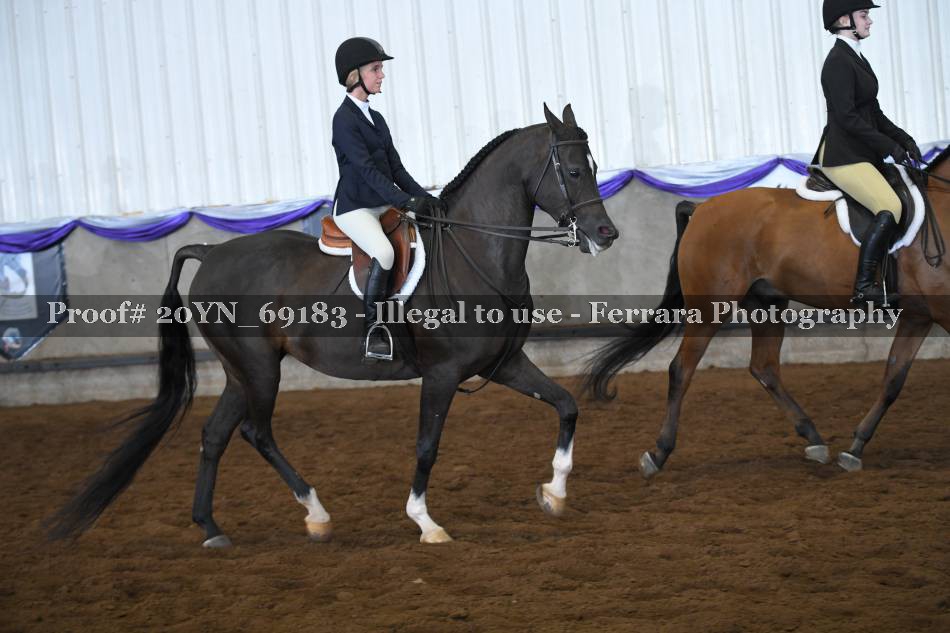 Proof 20YN_69183