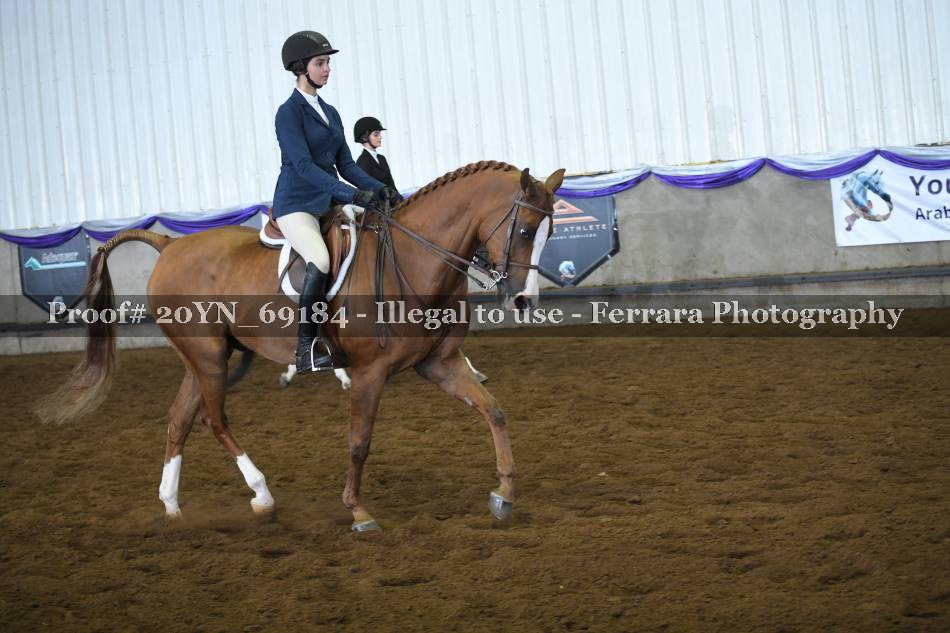 Proof 20YN_69184
