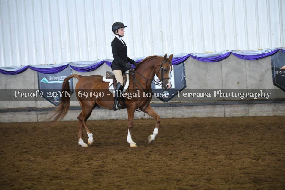 Proof 20YN_69190