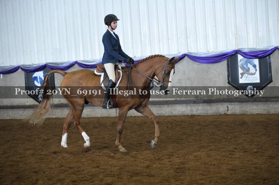 Proof 20YN_69191